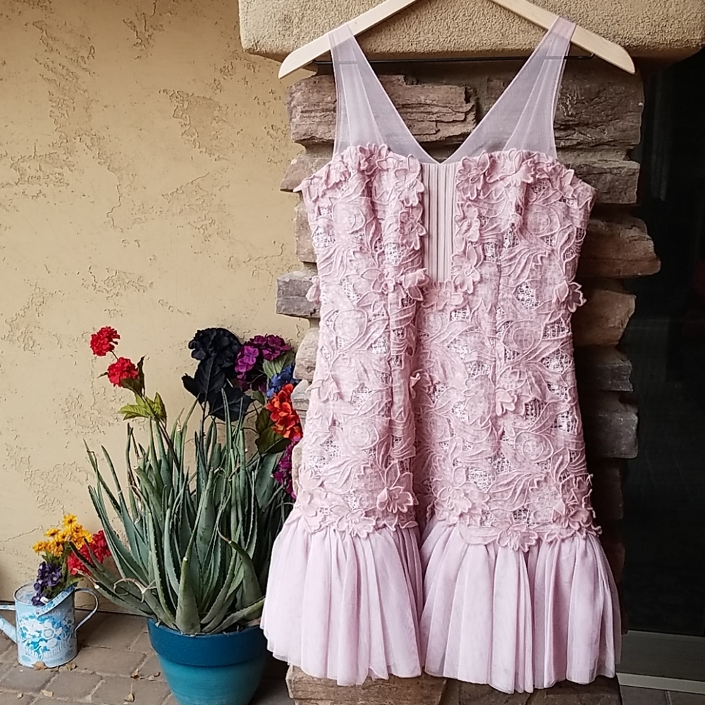 Beautiful Blush BCBGMAXAZRIA Formal Dress
